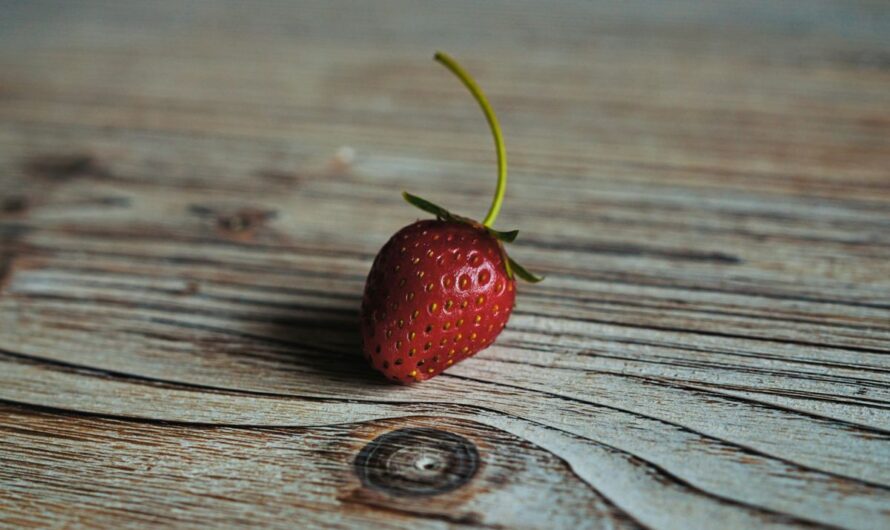 Nature’s Helpers: Exploring the Benefits of Adaptogens